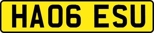 HA06ESU