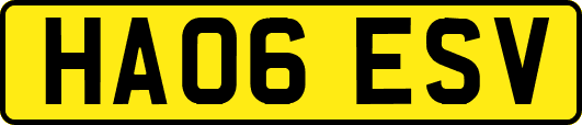 HA06ESV