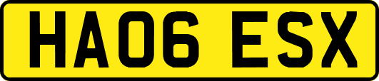 HA06ESX