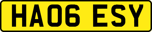 HA06ESY