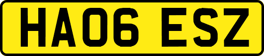 HA06ESZ