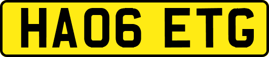 HA06ETG