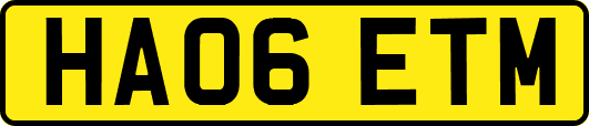 HA06ETM