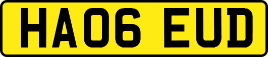 HA06EUD