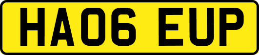 HA06EUP
