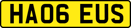 HA06EUS