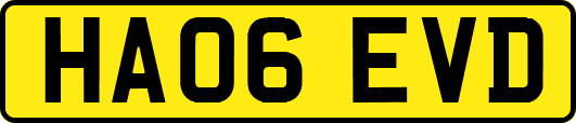 HA06EVD