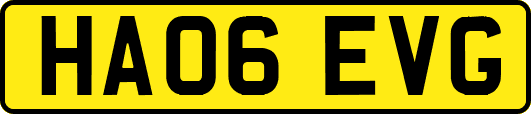 HA06EVG