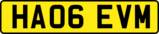 HA06EVM