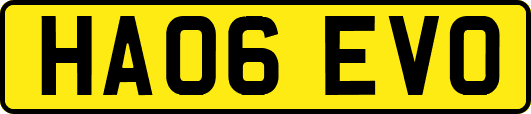 HA06EVO