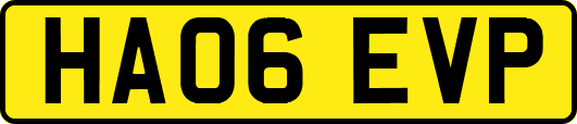 HA06EVP