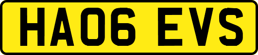 HA06EVS
