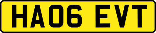 HA06EVT