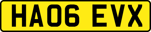 HA06EVX