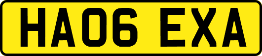 HA06EXA