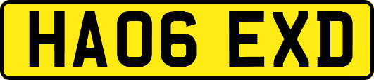 HA06EXD