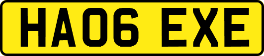 HA06EXE