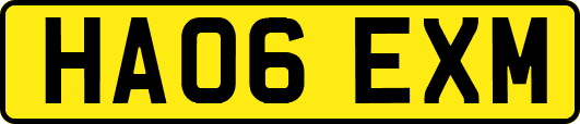 HA06EXM