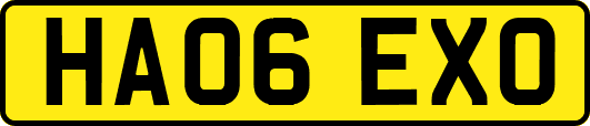 HA06EXO