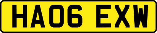 HA06EXW