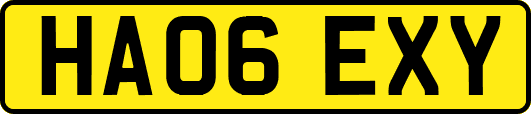 HA06EXY