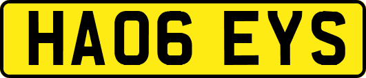 HA06EYS