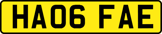 HA06FAE