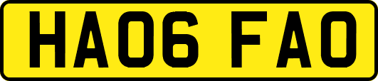 HA06FAO