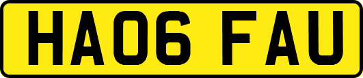 HA06FAU