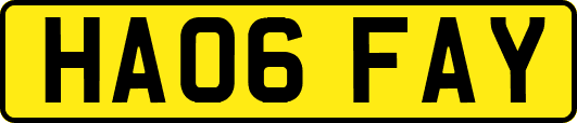 HA06FAY