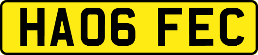HA06FEC