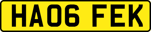 HA06FEK