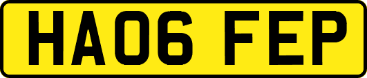 HA06FEP