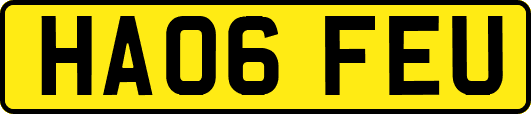 HA06FEU