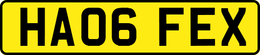 HA06FEX