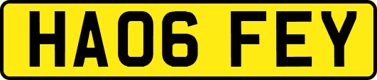 HA06FEY