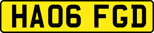 HA06FGD