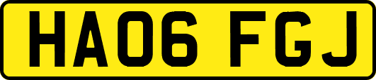 HA06FGJ