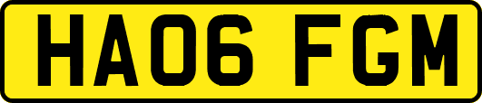 HA06FGM
