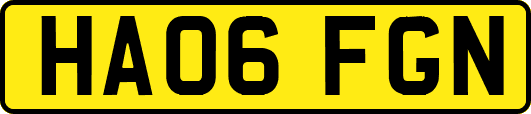 HA06FGN