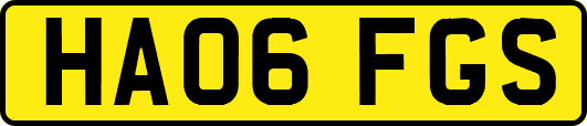 HA06FGS