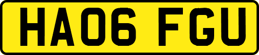 HA06FGU