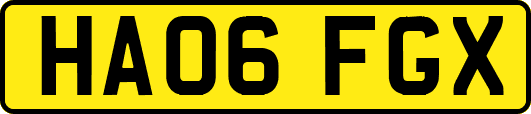 HA06FGX