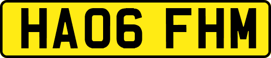 HA06FHM