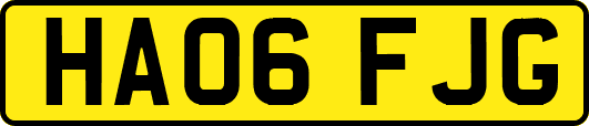HA06FJG
