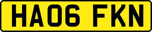HA06FKN
