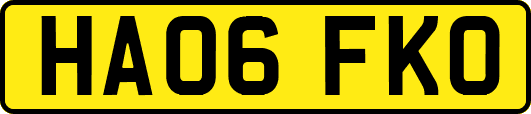 HA06FKO