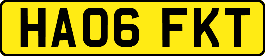 HA06FKT