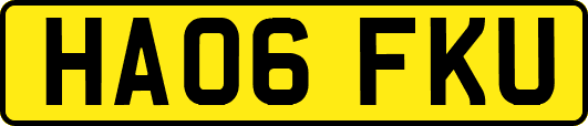 HA06FKU