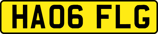 HA06FLG